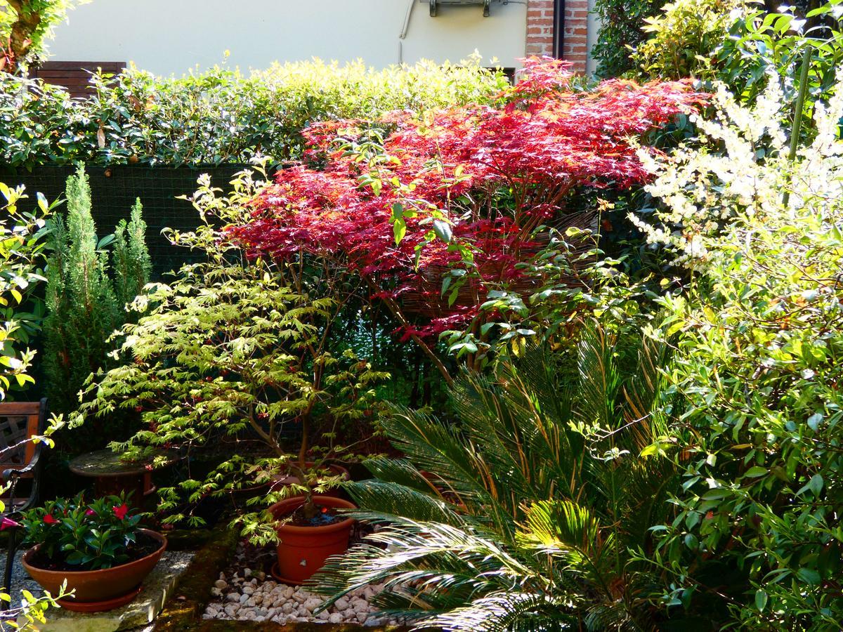 Garden Sweet House Desenzano Apartment Desenzano del Garda Ngoại thất bức ảnh
